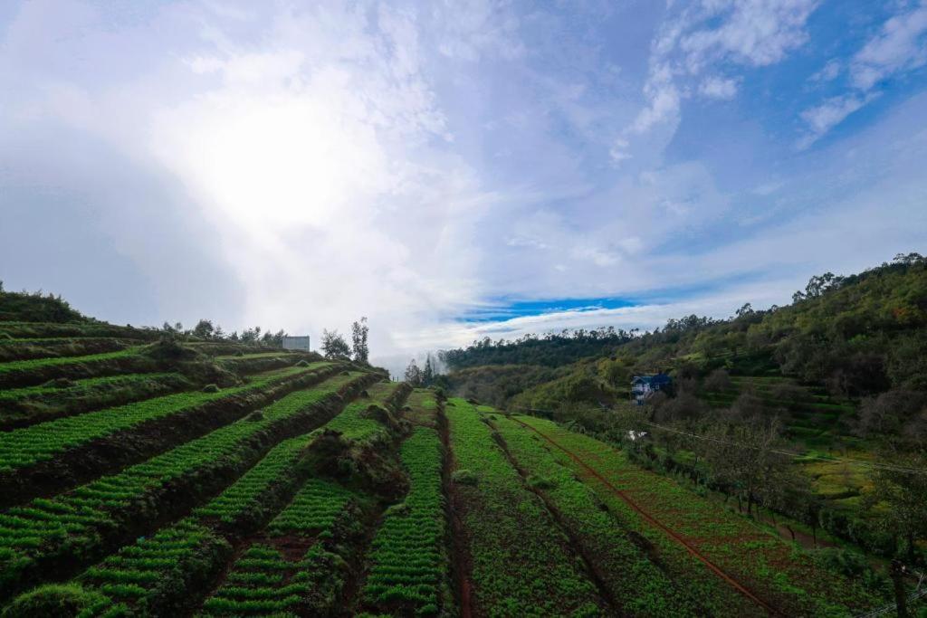 Starlight Hotels Kodai Кодайканал Экстерьер фото